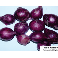 Red Onion
