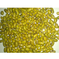 Green / Yellow Kidney Beans