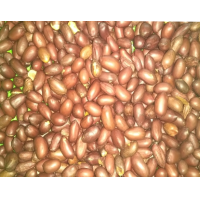 Peanuts