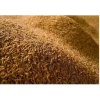 Burnt Rice Husk