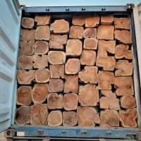 Teak Logs