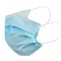 3 Ply Mask