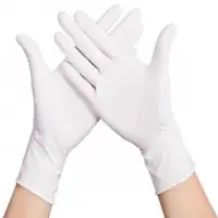 The Disposable Protective Gloves