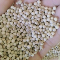 White Pepper Muntok