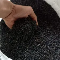 Black Pepper