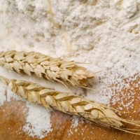 Wheat Flour