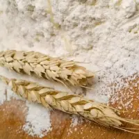 Wheat Flour