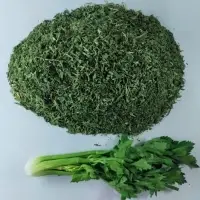 Dried Celery Flakes