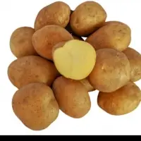 Fresh Potato