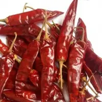 Red Chillies