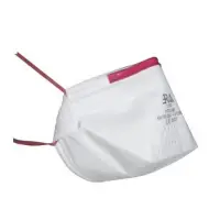 FFP3 Mask