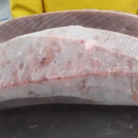 Yellowfin Frozen Tuna Loins