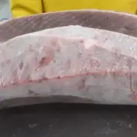 Yellowfin Frozen Tuna Loins