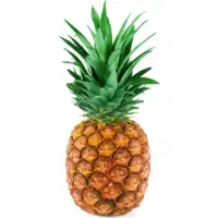 Fresh Pineapple