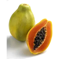 Fresh Papaya
