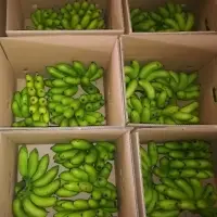 Fresh Banana
