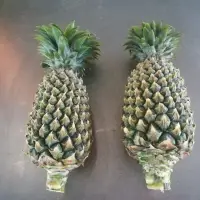 Fresh Pineapple