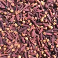 Cloves