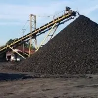 Steam Coal