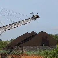 Steam Coal