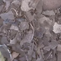 Coconut Charcoal
