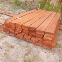 African Rosewood