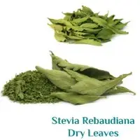 Dried Stevia Leaves