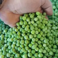 Green Peas