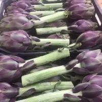 Fresh / Frozen Artichoke