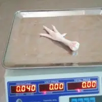 Chicken Wings / Paws Feet
