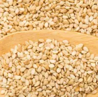 Sesame Seeds