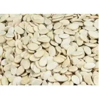 Watermelon Seeds