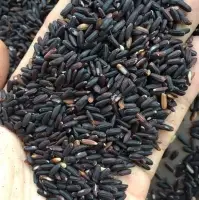 Black Glutinous Rice