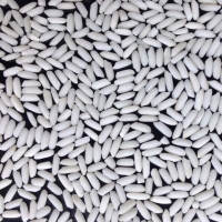Plastic Glutinous Rice
