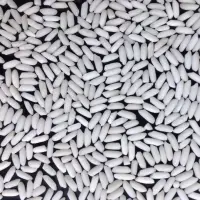 Plastic Glutinous Rice