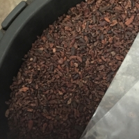 Cacao Nibs