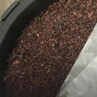 Cacao Nibs