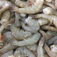 Vannamei Shrimps