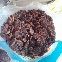 Dry Slice Noni Fruit