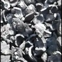 Candle Nut / Kukui Nut Shell Charcoal