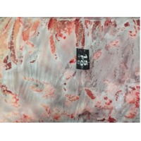 Buffalo Meat