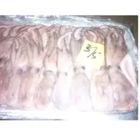 Frozen Squid