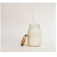 Kefir Powder