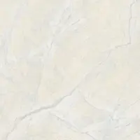 Nano Vitrified Tiles