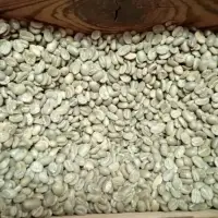 Whased Arabica Green Coffee