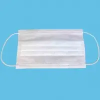 3 Ply Protective Mask