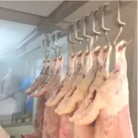 Mutton