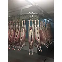 Frozen Sheep Meat