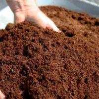 Coco Peat