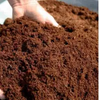 Coco Peat